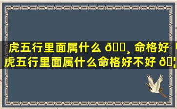 虎五行里面属什么 🌸 命格好「虎五行里面属什么命格好不好 🦢 」